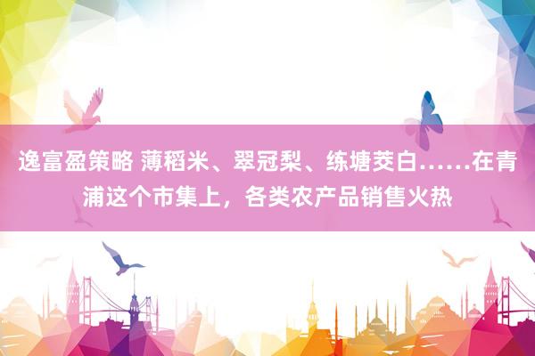 逸富盈策略 薄稻米、翠冠梨、练塘茭白……在青浦这个市集上，各类农产品销售火热