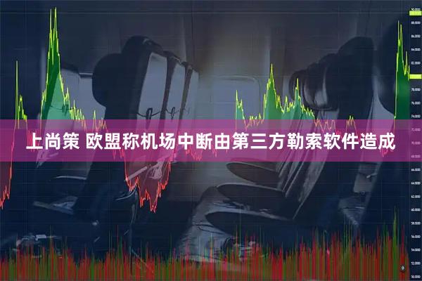 上尚策 欧盟称机场中断由第三方勒索软件造成