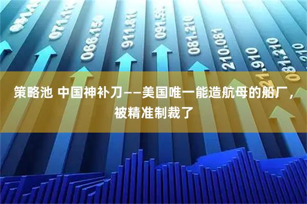 策略池 中国神补刀——美国唯一能造航母的船厂，被精准制裁了