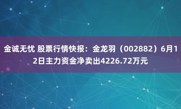 金诚无忧 股票行情快报：金龙羽（002882）6月12日主力资金净卖出4226.72万元
