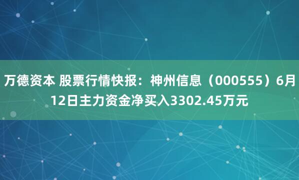 万德资本 股票行情快报：神州信息（000555）6月12日主力资金净买入3302.45万元