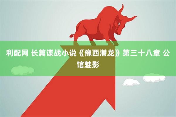 利配网 长篇谍战小说《豫西潜龙》第三十八章 公馆魅影