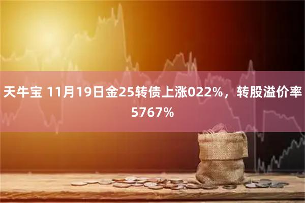 天牛宝 11月19日金25转债上涨022%，转股溢价率5767%